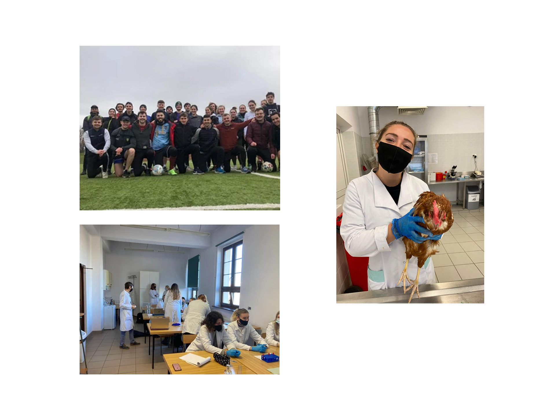 Tina and the football team, in classes and with a hen