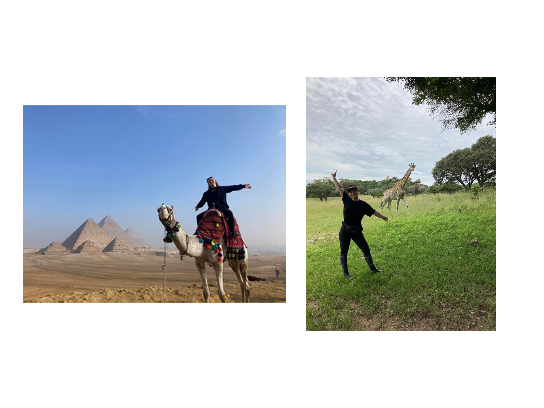 Tine on a camel and with giraffes