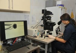 a student by the microscope