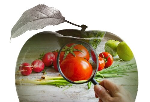 tomatoes under a magnifying glass