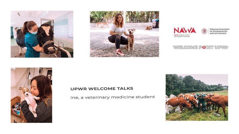 A collage shows Ine, a student in many situations dealing with animals